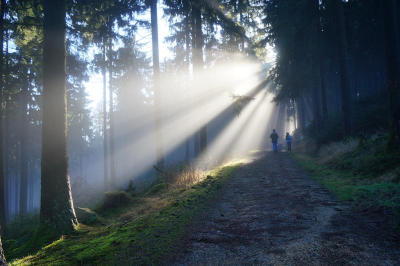 Rosa Villa Selb Exteriör bild